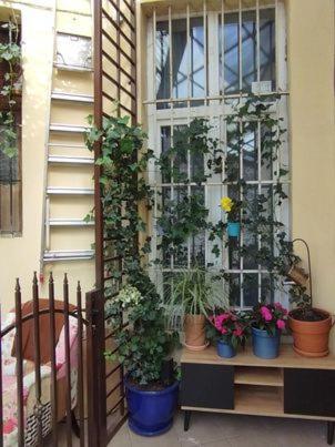 Miodowa Kazimierz Apartment كراكوفيا المظهر الخارجي الصورة